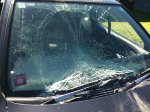 Windscreen Replace